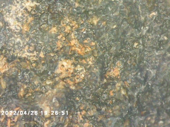 Meteorite-Surface